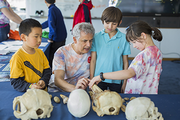 Examining skulls with Rockefeller professor Marcelo Magnasco